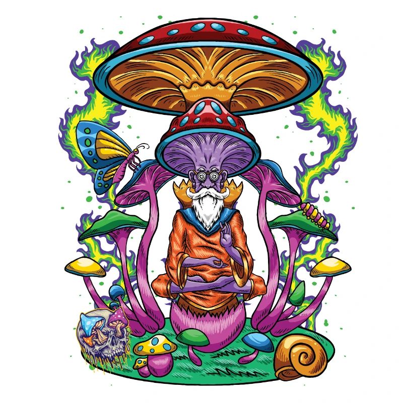 Chemie LSD Molecule Spirit Molecule and LSD Psyche