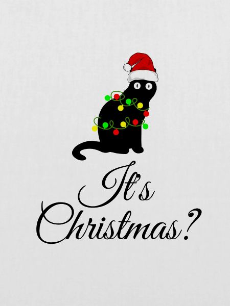 Cat Christmas