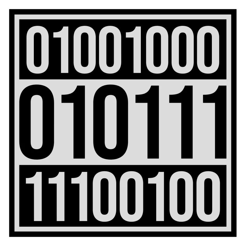 Langage de programme de code binaire