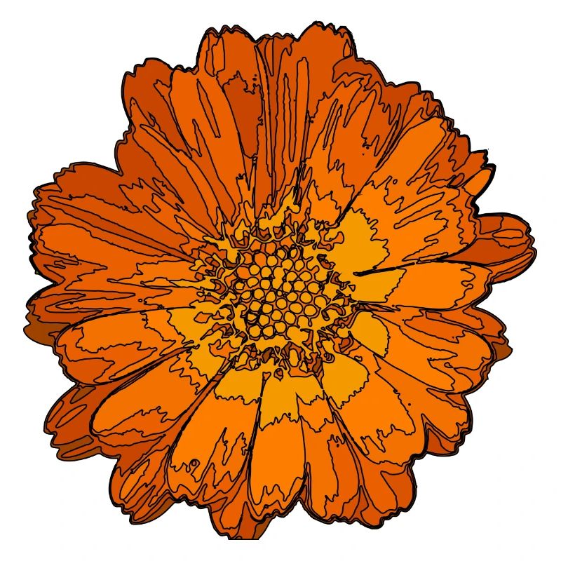 Abstrakte Ringelblume