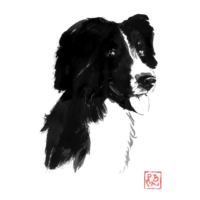Schwarzer Hund
