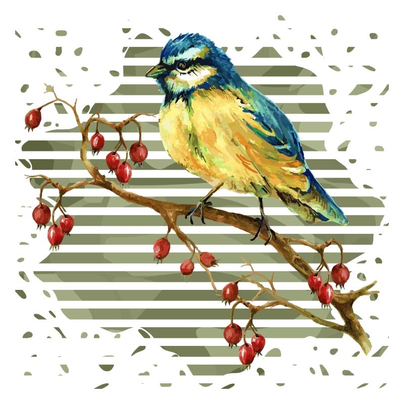 Bunter Vogel