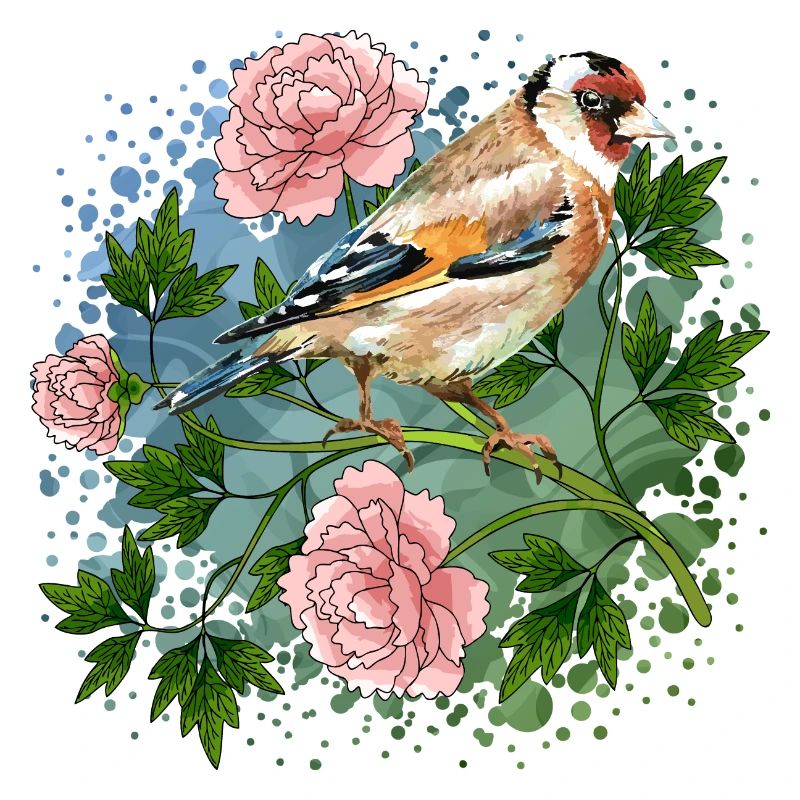 Bunter Vogel