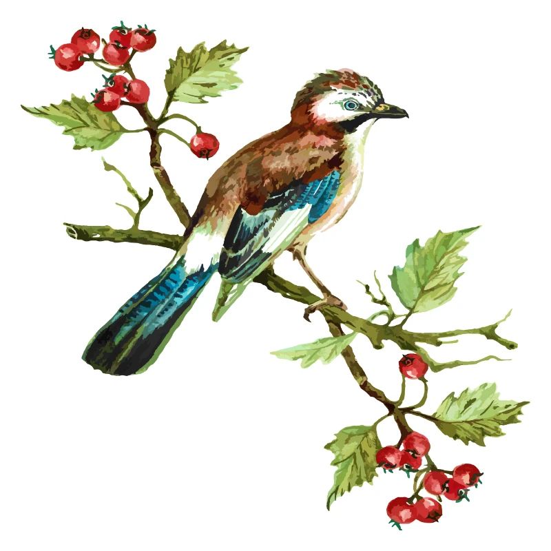 Bunter Vogel