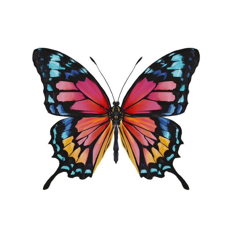 Schmetterling