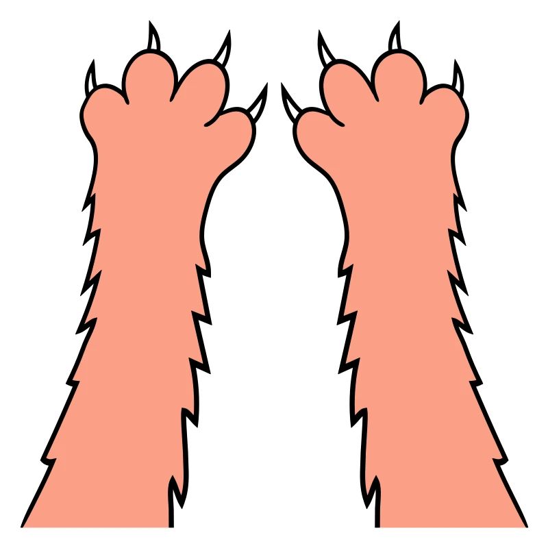 Chats, griffes, pattes, pattes, griffes acérées, grattage