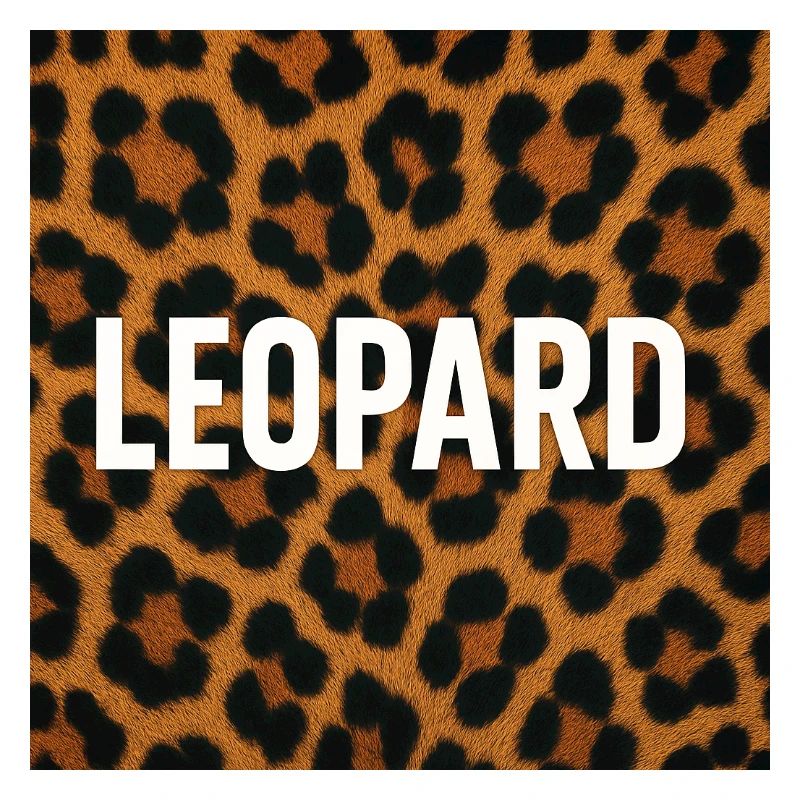 Déclaration moderne du léopard