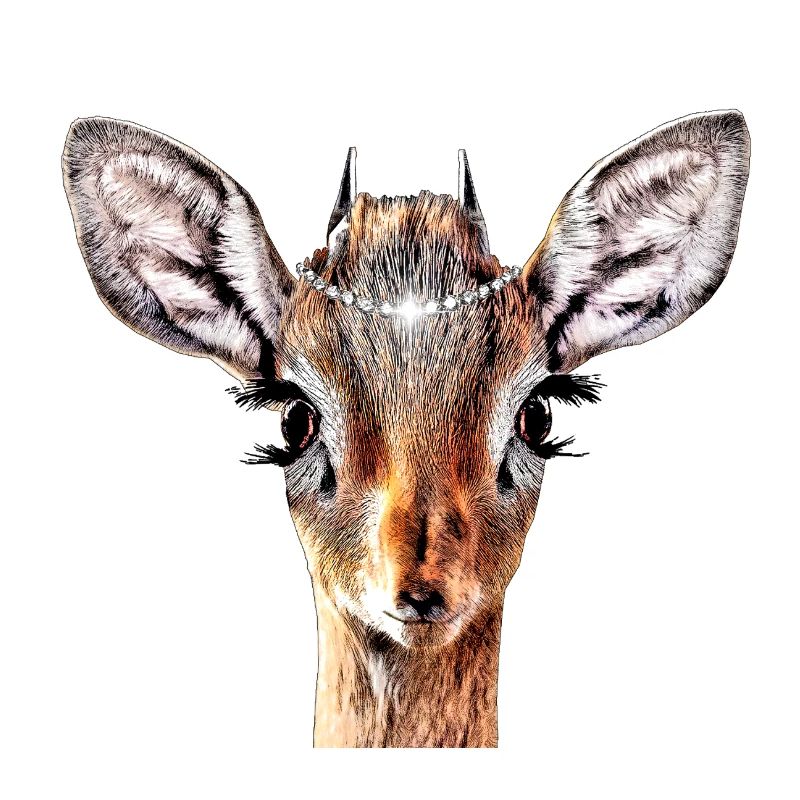 Biche Diamant