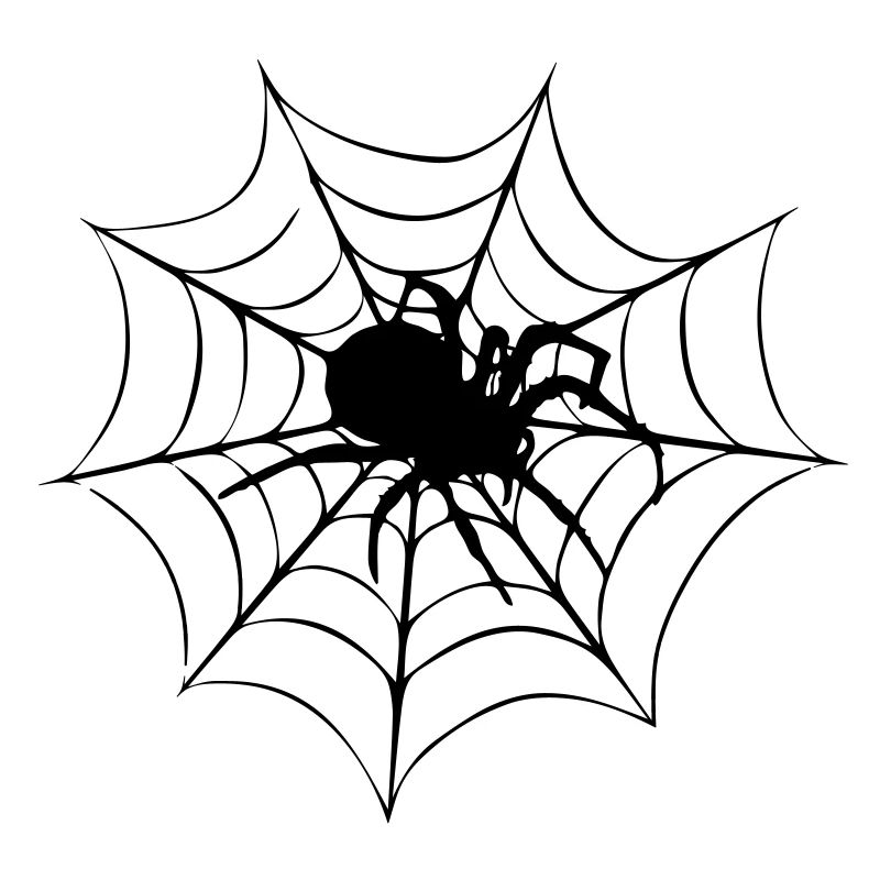 Spider on web | Spider web | Halloween | Horror