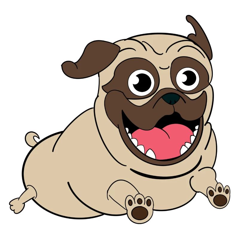 Nacho the Pug