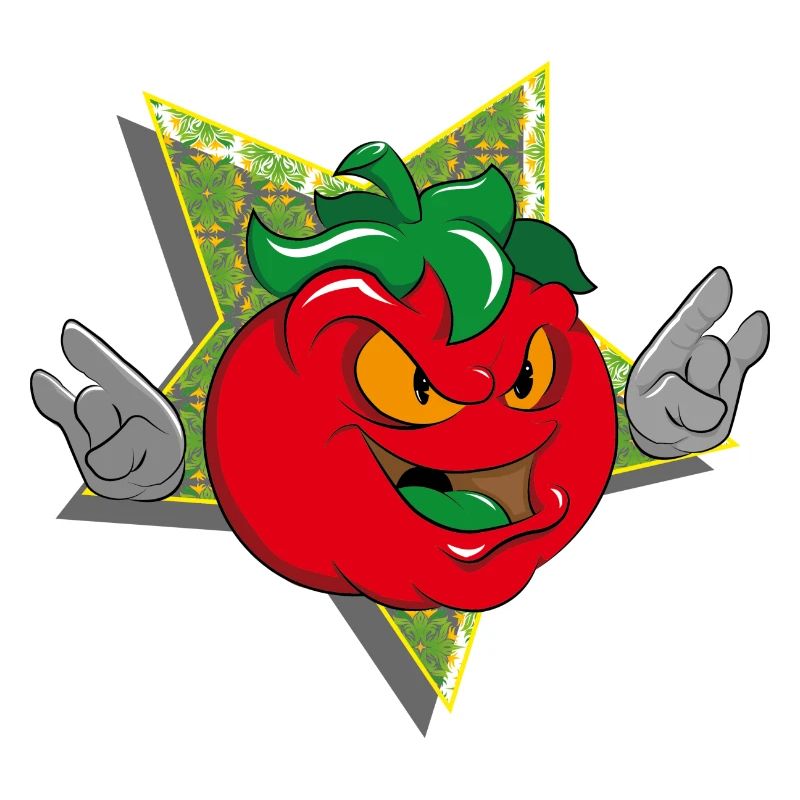 mr tomate