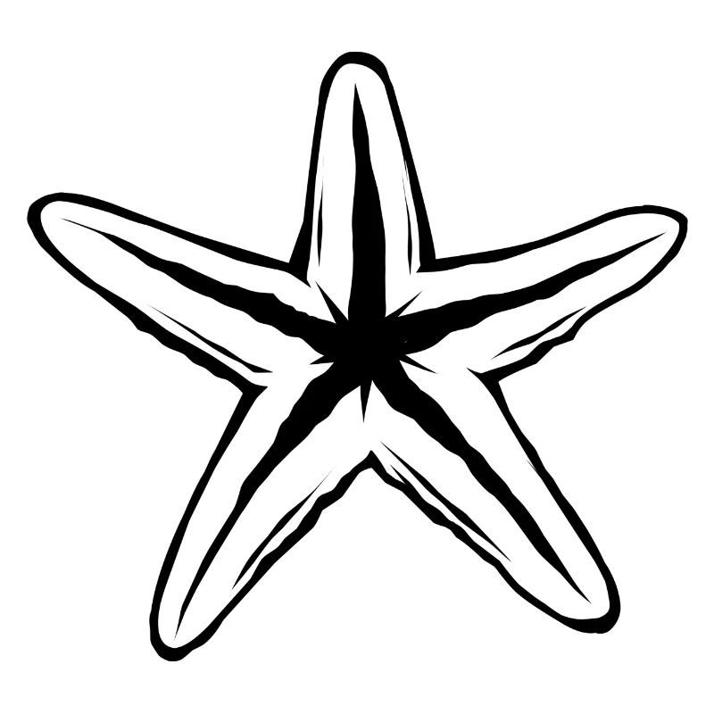 Seestern