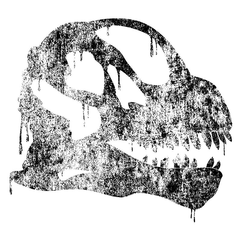 Camarasaurus-Schädel