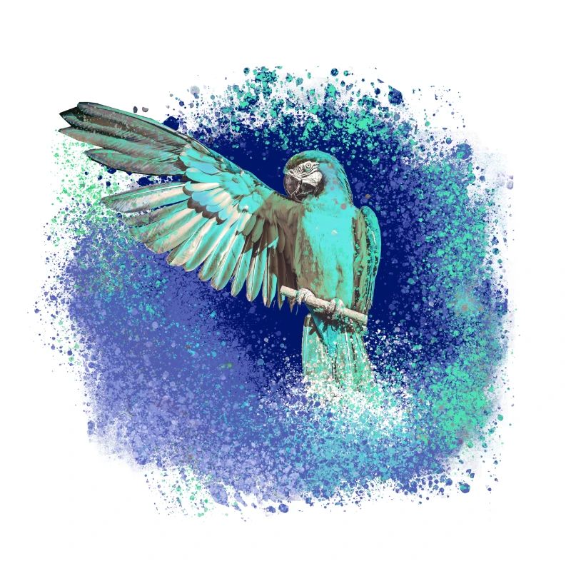perfich ara,oiseau,graffiti,mint,bleu,brush,spray