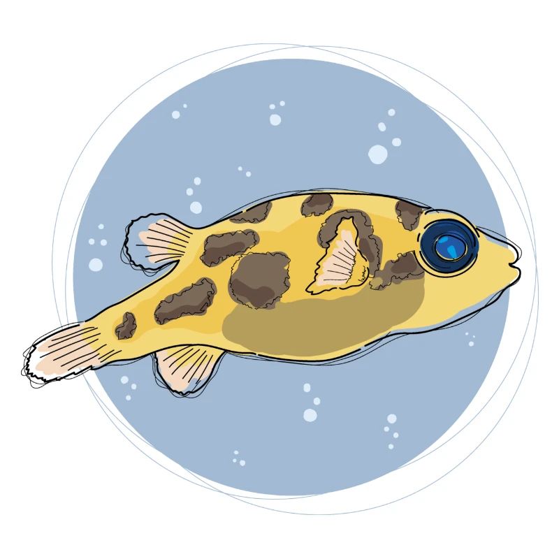 Pea Puffer ,puffer, kugelfisch