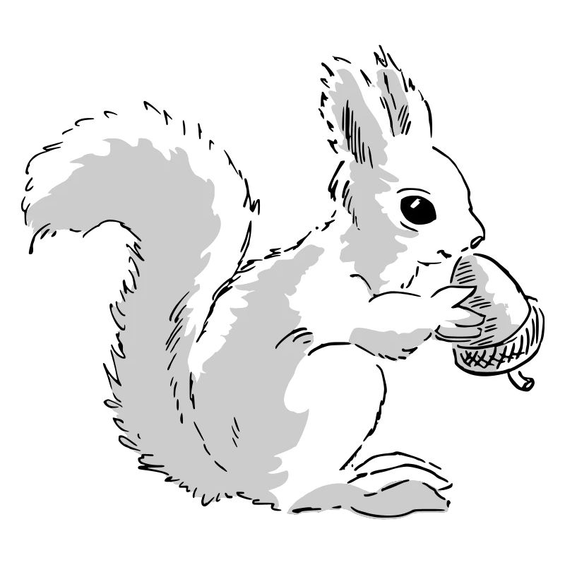Squirrel eats a nut