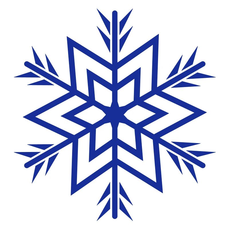 Flocon de neige / flocon de neige a 1c