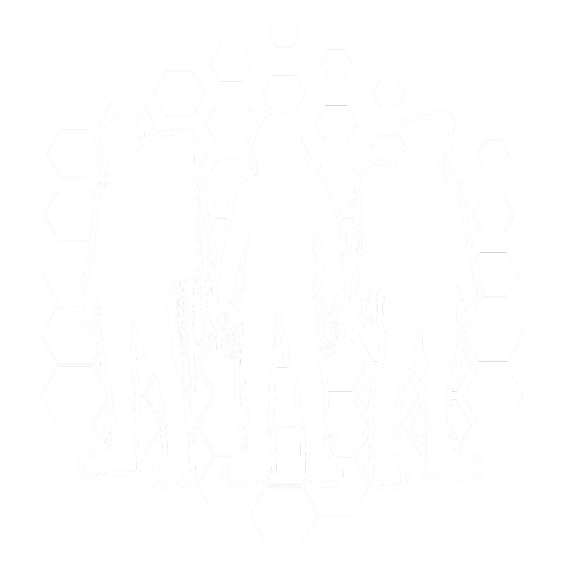 Kletterer Klettern Boulder Damen Climber