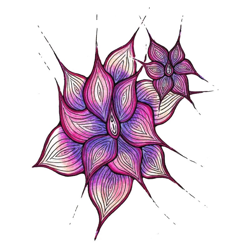 Vulva Blume