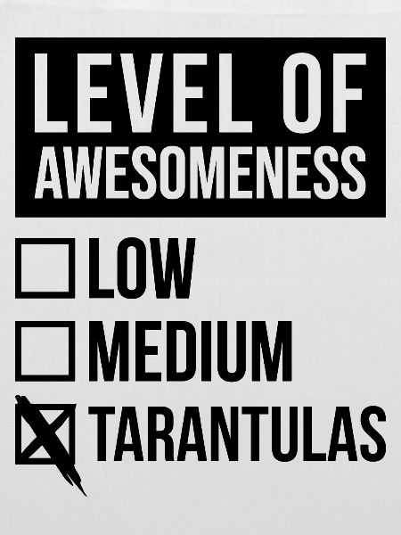 Tarantel Tarantel Tarantel