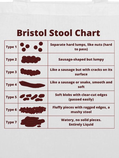 Bristol Scale Bristol Hocker Diagramm