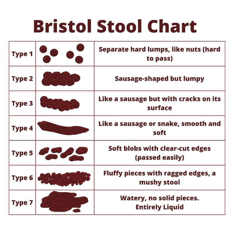 Bristol Scale Bristol Stool Chart