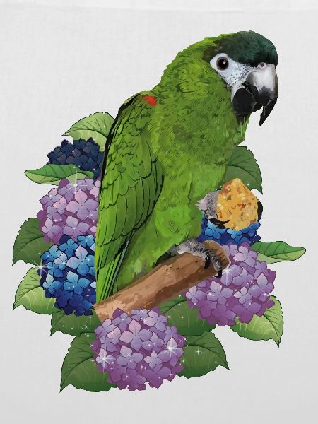Noble ara