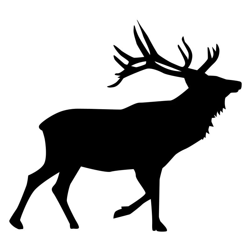 Hirsch