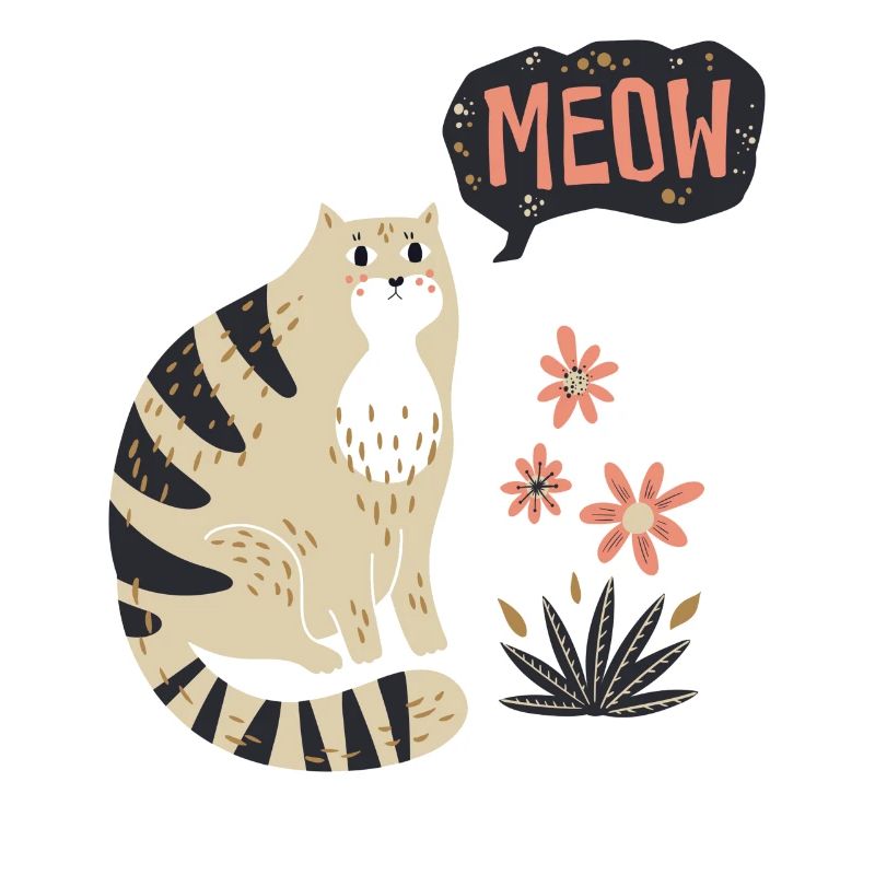 Kater