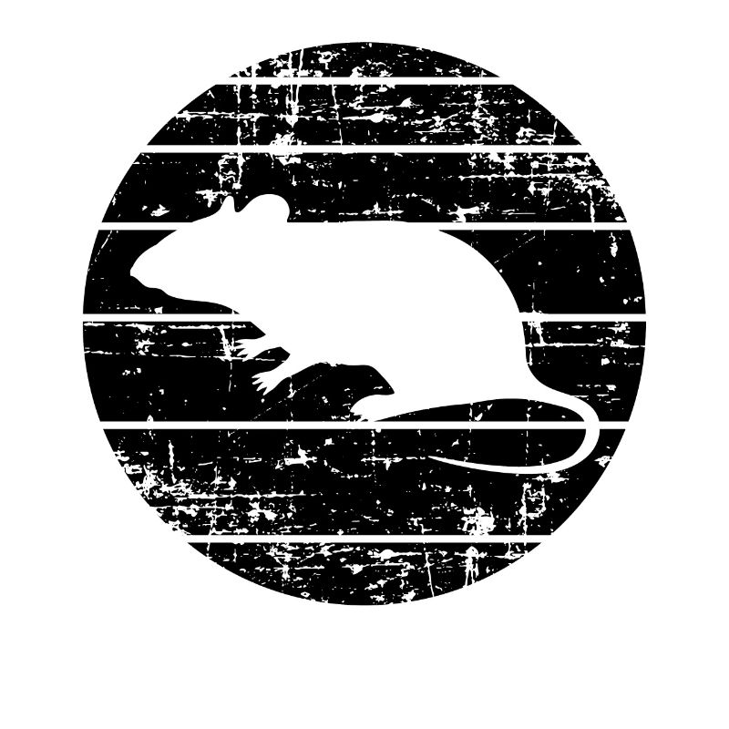 Ratte