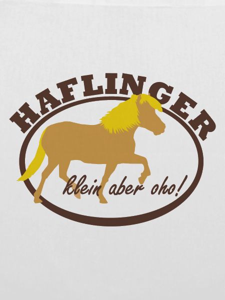 Haflinger, klein aber oho