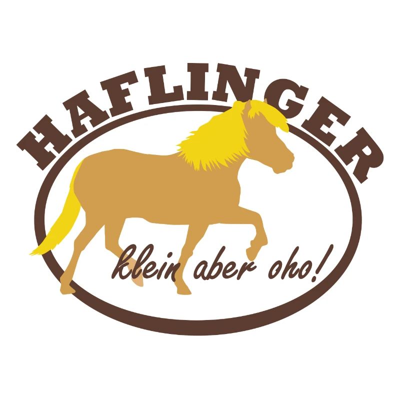Haflinger, klein aber oho