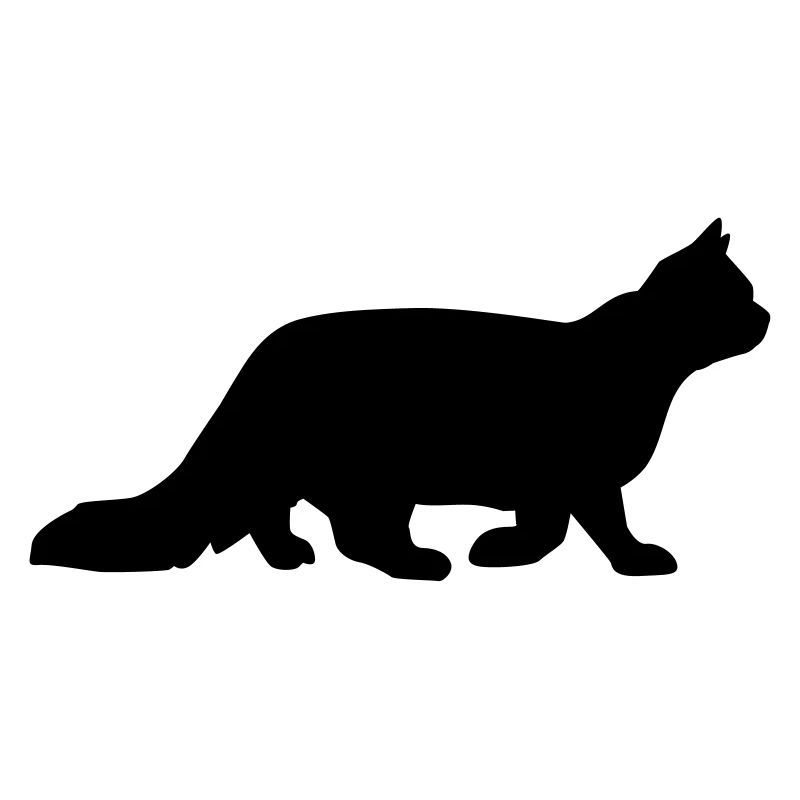 Katze