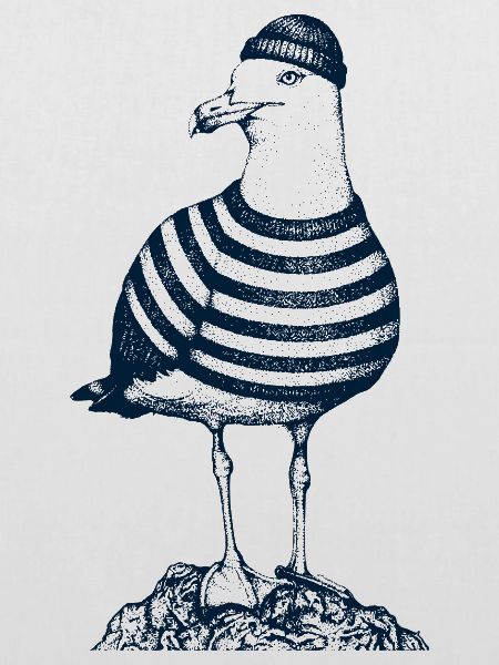 Möwe mit Pulli