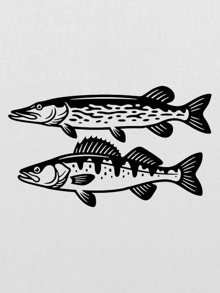 Hecht Zander Raubfisch Angeln Fischen