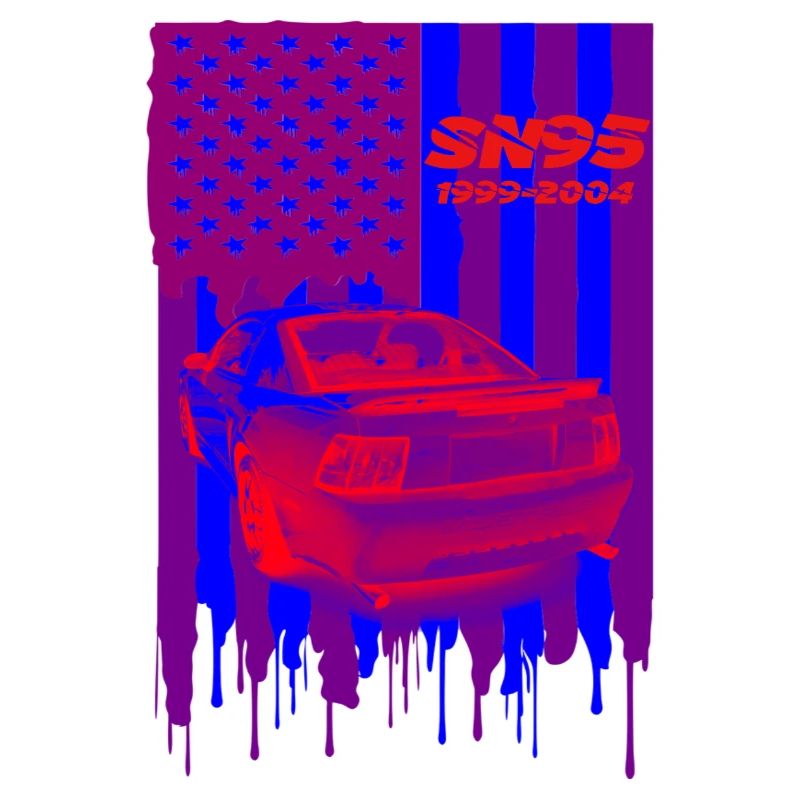 US Car SN95