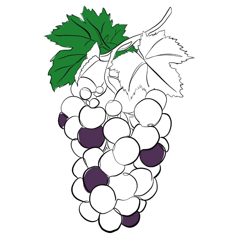 Grape Line Art