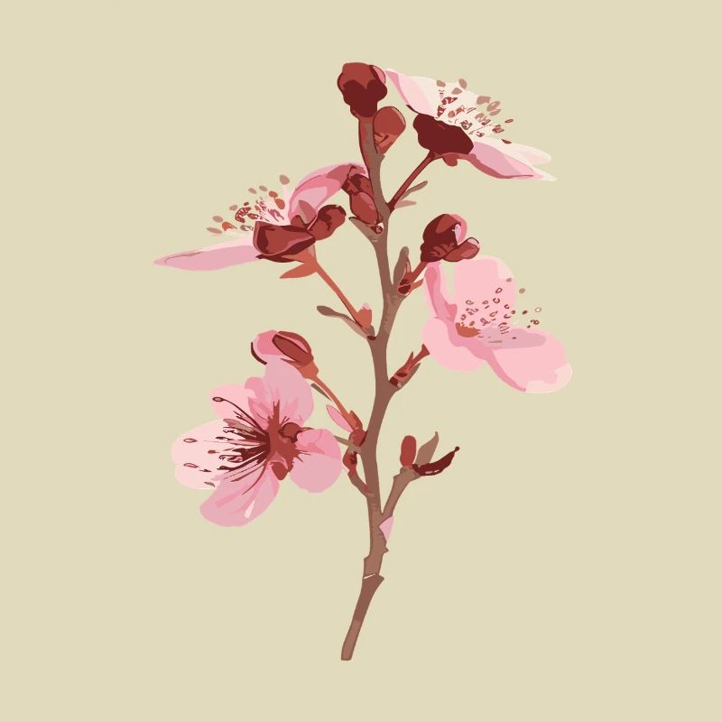 Cherry blossoms pink sakura flowers