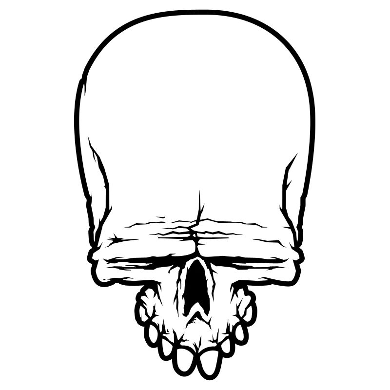schädel skull