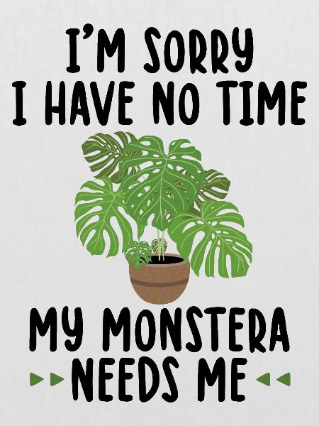 Monstera
