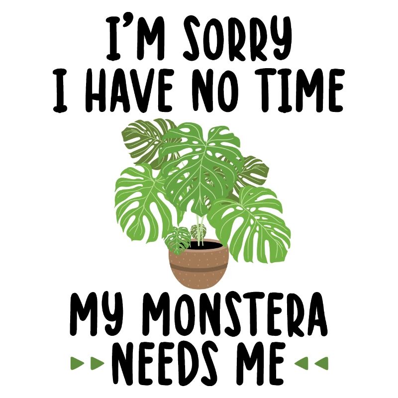 Monstera