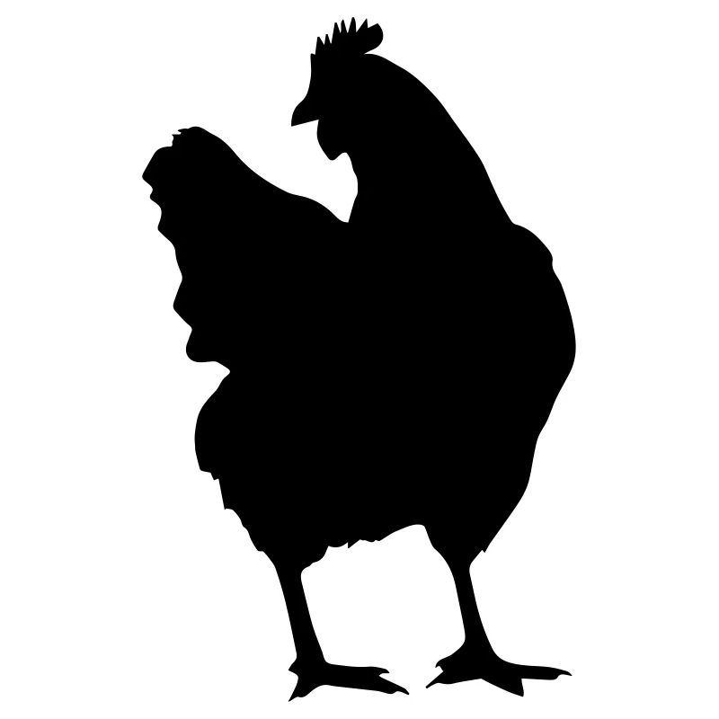 chicken