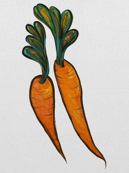 Aquarell Karottenduo-Illustration