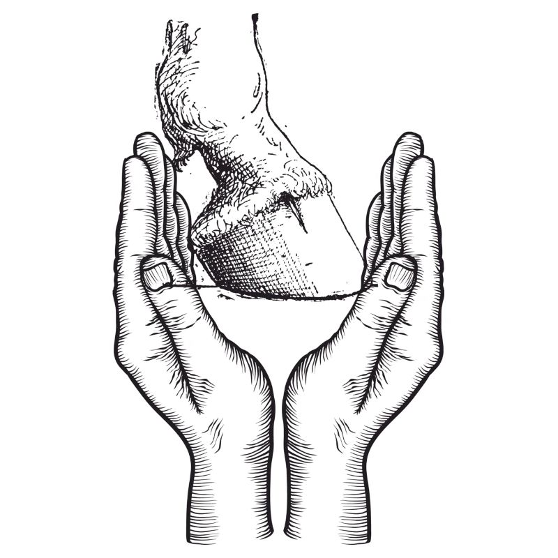 Pferdehuf Hand