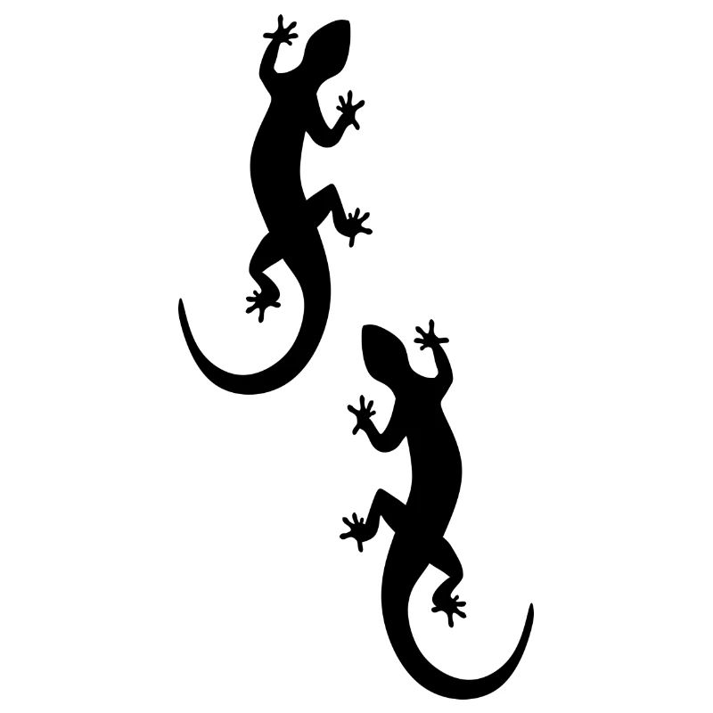 Eidechsen - Geckos