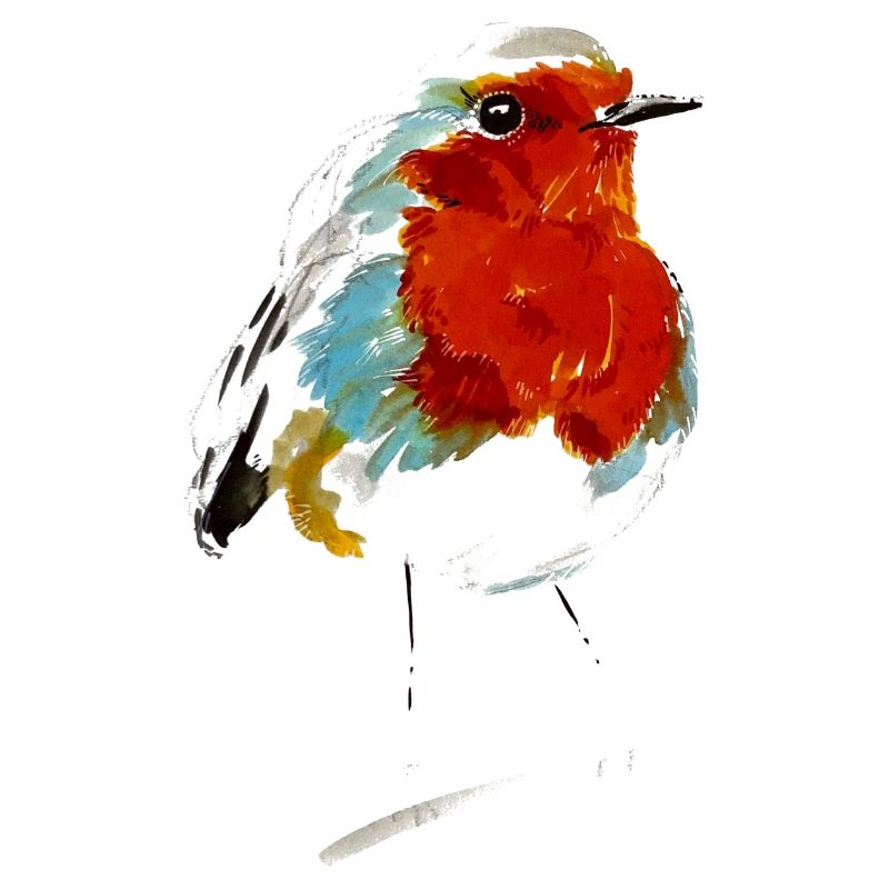 Robin | Robin I.