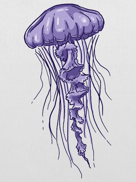 Purple Jellyfish Illustration 
