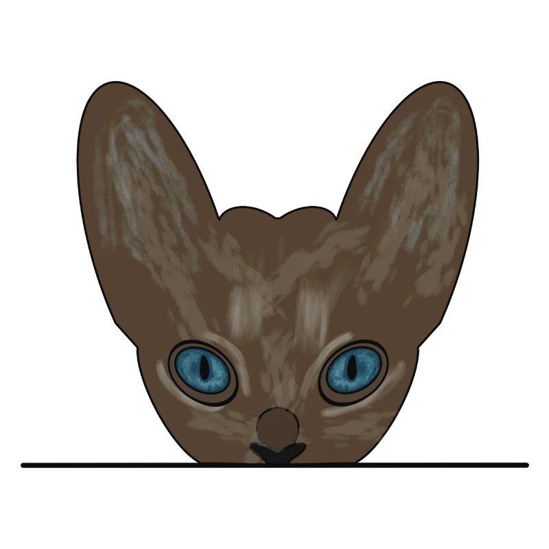 Chat Devon Rex