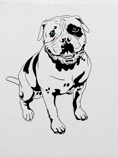 Bulldogge