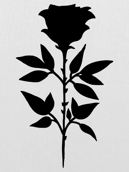 Schwarze Rose